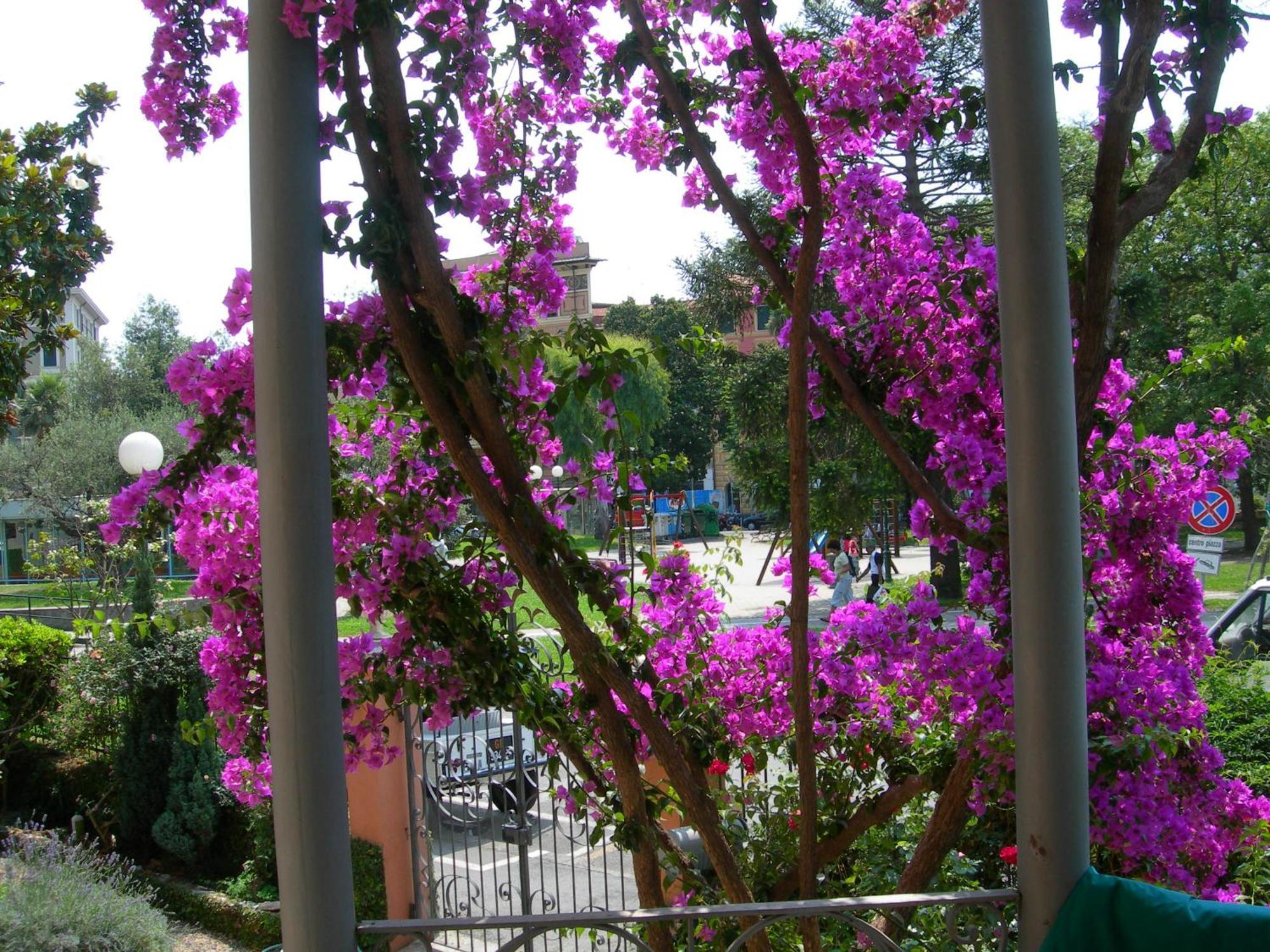La Casa Dei Paggi Bed & Breakfast Sestri Levante